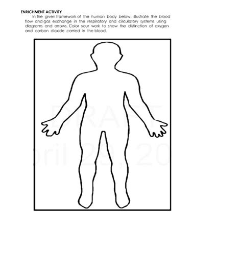 Science Concepts and Questions (K to 12): Circulatory System Activities