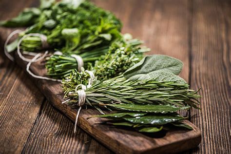 Herb Stock Photos Pictures And Royalty Free Images Istock