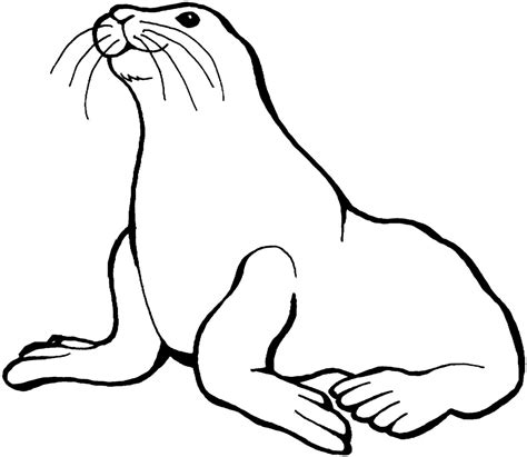 Galería de imágenes Dibujos de focas para colorear
