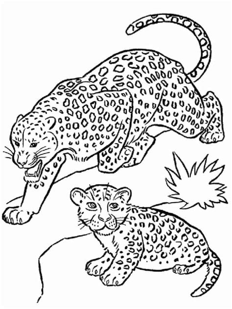 The coloring retains all the pencil drawing's inherent halftones and shadows. Leopard Coloring Page Printable