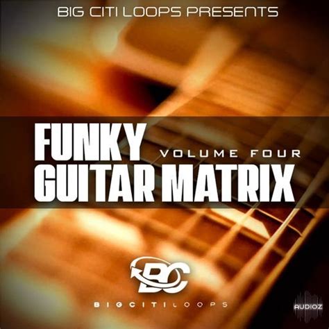 Download Big Citi Loops Funky Guitar Matrix Vol 4 Wav Audioz