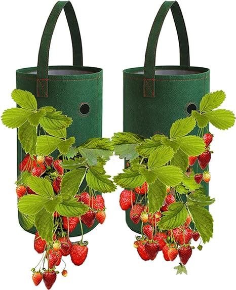 Fovern1 Strawberry Grow Bags 2 Pack 10 Gallon Gardens Hanging