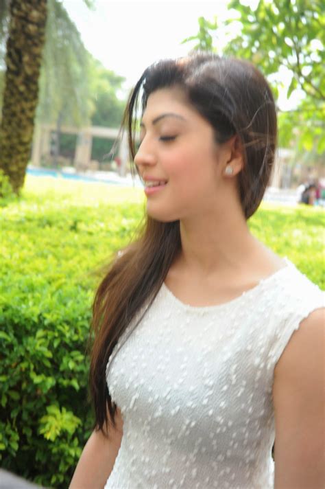 High Quality Bollywood Celebrity Pictures Pranitha