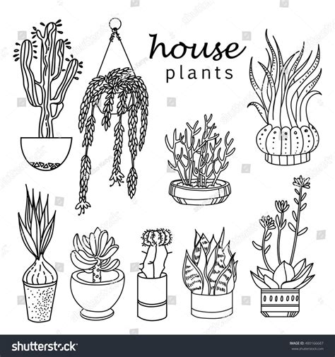 Illustration Of Houseplants Indoor And Office Plants In Potset Of