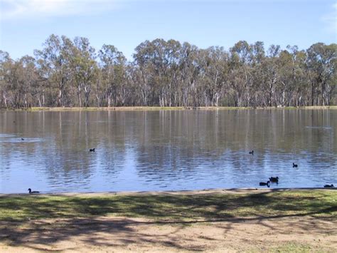 Swan lake karralyka theatre, ringwood. Shepparton photos - Travel Victoria: accommodation ...