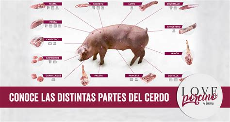 Top 10 Bondiola De Cerdo Que Parte Es Abeamer