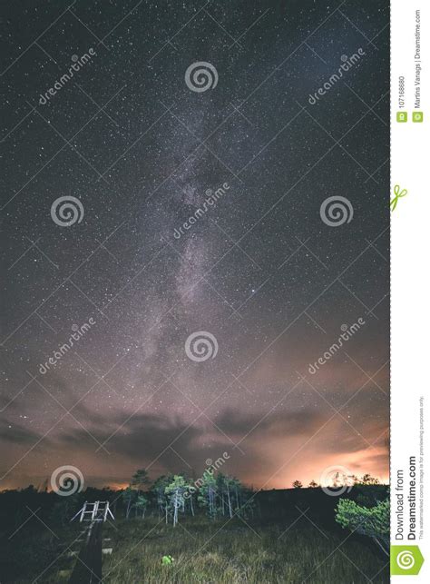 Colorful Milky Way Galaxy Seen In Night Sky Over Trees Vintage Stock