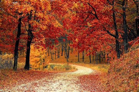 These Are Some Of The Best Places In Illinois To See Fall Colors