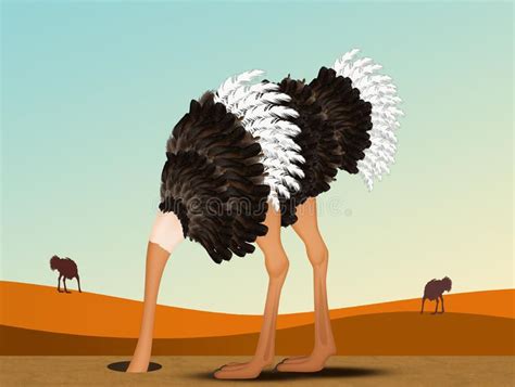 Ostrich With His Head In The Sand Stock Illustration Illustration Of