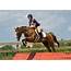 Show Jumping High Definiton HD Wallpapers  All