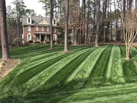 Mowing And Turfgrass Health The Lawn Institute