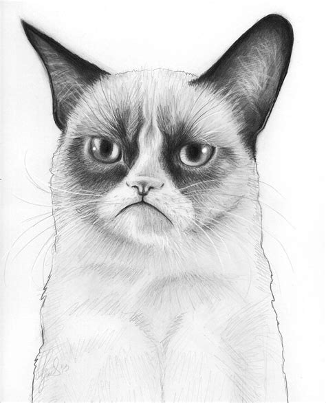 How to draw chibi grumpy cat, step by step, drawing guide, by dawn. 18+ Cat Drawings, Art Ideas, Sketches | Design Trends ...
