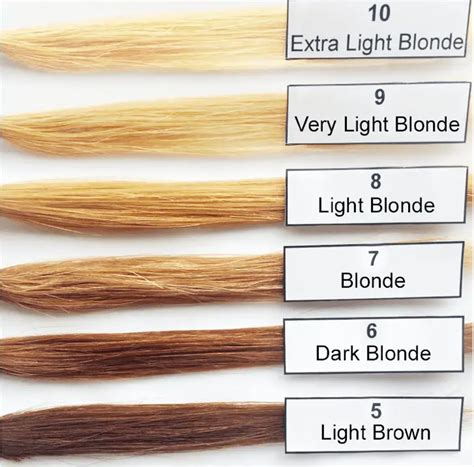 level 6 hair color chart