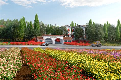 Residents who participate in curbside collection programs (subscription cart service or the sticker program) will have the option of disposing of an unlimited amount of refuse and household debris by placing it curbside for pick up. The Flowers Village on Behance