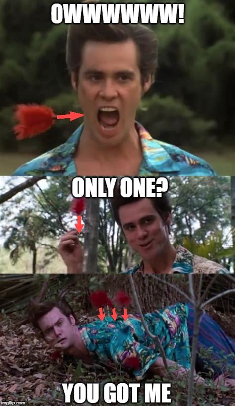 Ace Ventura Memes And S Imgflip