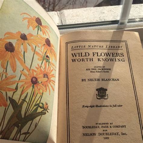 Wild Flowers Worth Knowing Hufflepuff Aesthetic Books Book Worms
