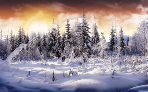 41 Winter Sunrise Desktop Wallpaper Wallpapersafari