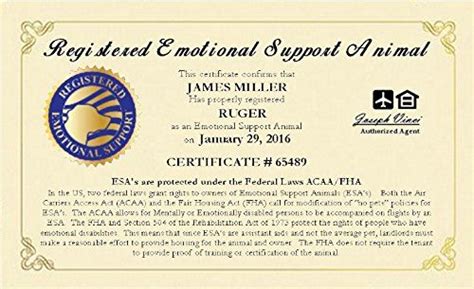 Can a cat be a service animal? Emotional Support Animal ESA Certificate - Customized with ...