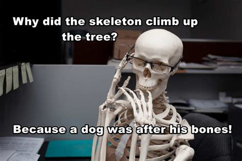 100 skeleton puns jokes and memes that will tickle your funny bone legit ng