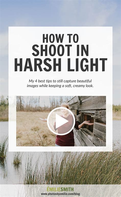 How To Shoot In Harsh Light How To Shoot In Sunlight Natural Light Photography Photos In