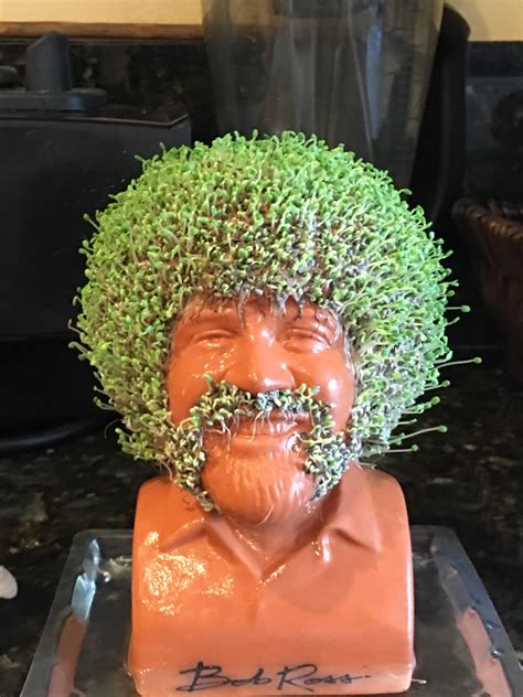 This Bob Ross Chia Pet With Mutton Chops Rmildlyinteresting Mildly