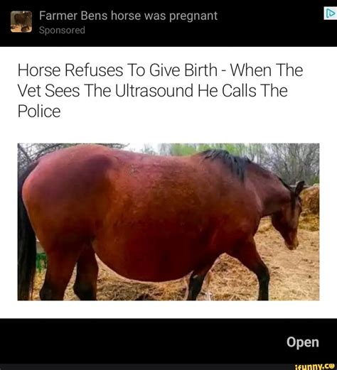 Farmer Bens Horse Was Pregnant Sponsored Horse Refuses To Give Birth