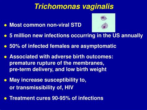 Ppt Trichomonas Vaginalis Powerpoint Presentation Free Download Id
