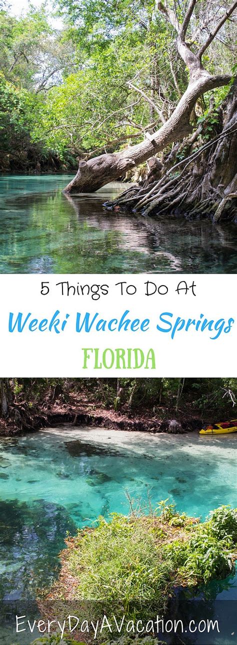 5 Things To Do At Weeki Wachee Springs Every Day A Vacation