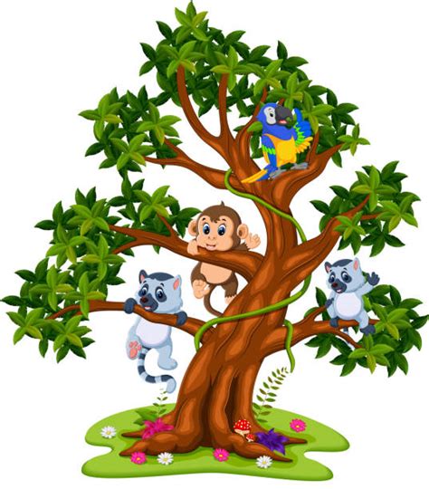 Monkey Climbing Tree Illustrations Royalty Free Vector Graphics And Clip