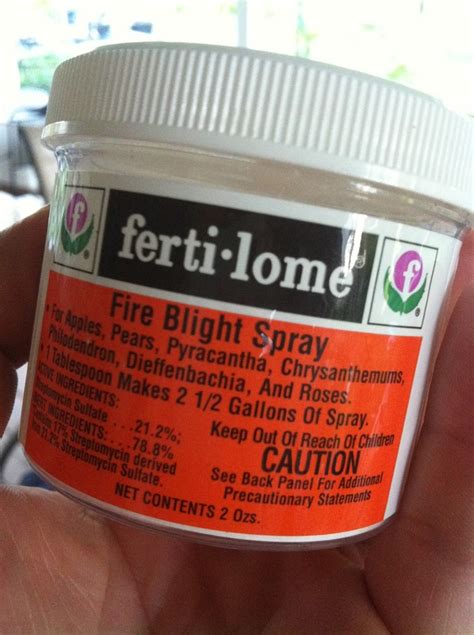 Fire blight on pears and indian hawthorn in north florida and. Fire Blight - The Bell House - Growing Fruit Trees in ...