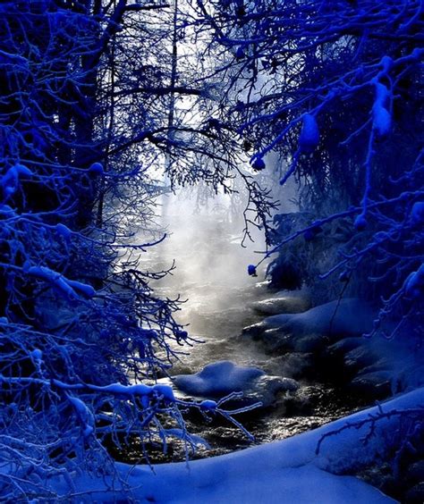 Beautiful Winter Cobalt Scene A1 Pictures