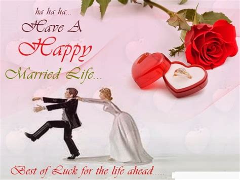 Best wishes for your bright future. Wedding , marriage wishes