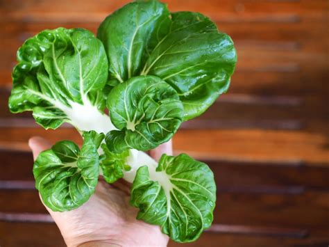 12 Vegetables You Can Grow From Scraps Live Love Fruit Growing Herbs