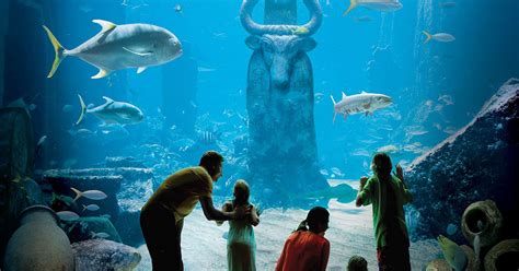 Marine Exhibits And Bahamas Aquarium Atlantis Paradise Island