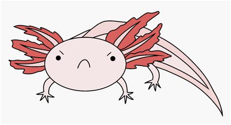 Axolotl Drawing Easy How To Draw An Axolotl Step By Step Axolotl