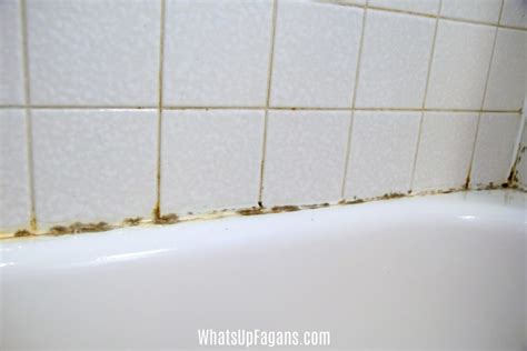 How To Get Rid Of Black Mold In Your Shower Caulking