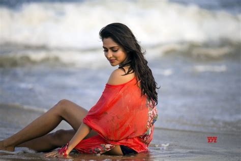 Actress Amala Paul Hot Beach Stills Social News Xyz