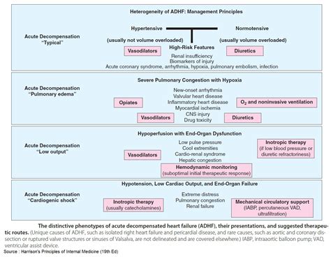 The Distinctive Phenotypes Of Acute Decompensated Heart Grepmed