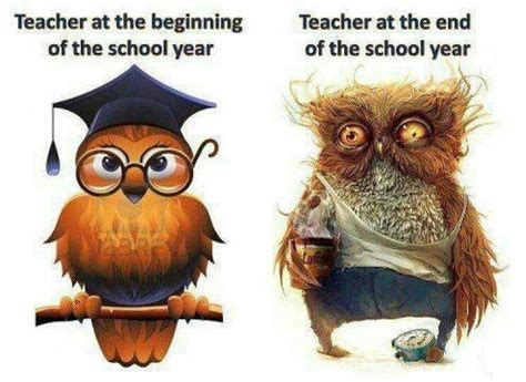 History Teacher Before After