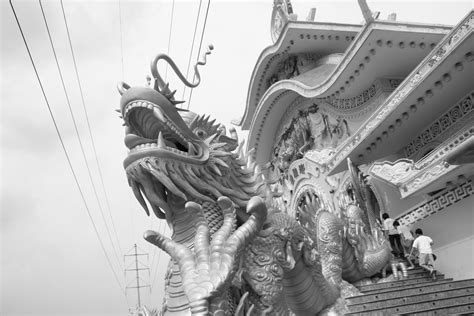 File:Vietnam dragon.jpg - Wikimedia Commons