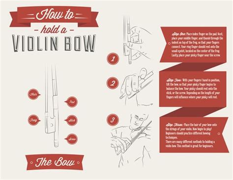 That said, as a beginner, you should not get too hung up on bows before you know how to use them! How to hold a Violin bow | Heart Infographics | Pinterest ...
