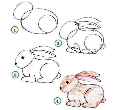 Dessine les coloriages lapin simple de dessin et coloriage en ligne pour enfants. DIY : How To Draw Zoo Animals ! • Canadian Savers
