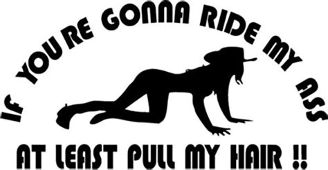 If You Re Gonna Ride My Ass At Least Pull My Hair Funny Vinyl Decal Sticker 8 Wide