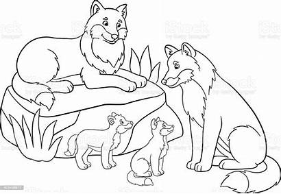 Coloring Wolves Mother Babies Father Wolf Animal