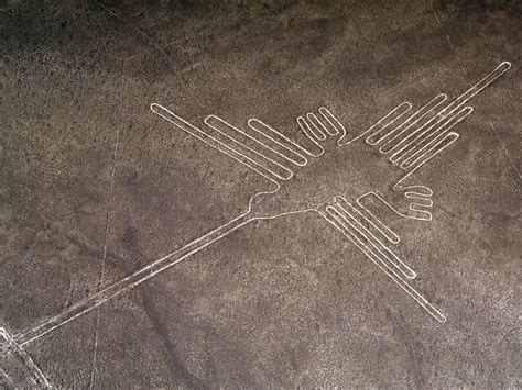 Nazca Lines More Than 100 Ancient Images Found Etched Into The Peruvian Desert The
