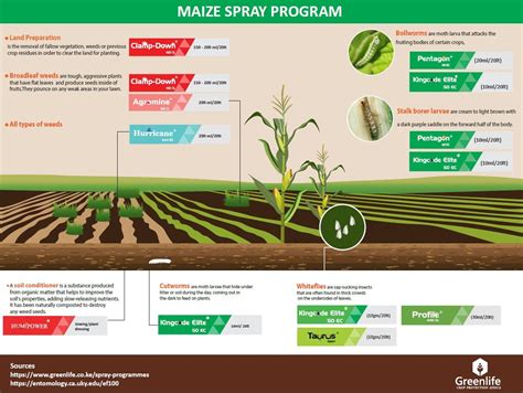 Do you find yourself coveting your neighbor's grass because yours looks so sad? maize spray program | Crop protection