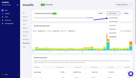 How To Use The Kinsta Apm Tool Open Beta