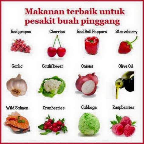 Makanan Untuk Pesakit Buah Pinggang Jangan Beri Sembarangan