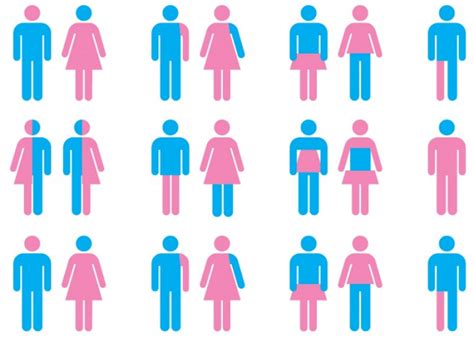 Gender Identity Gender Role Sex Role Gender
