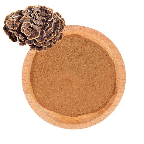 promotion price yunzhi mushroom powder coriolus versicolor extract food grade turkey tail